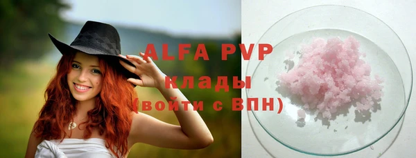 индика Балахна