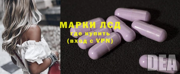 индика Балахна