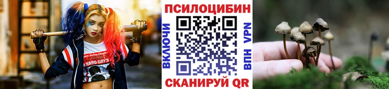 Псилоцибиновые грибы Psilocybine cubensis  купить наркоту  Сокол 